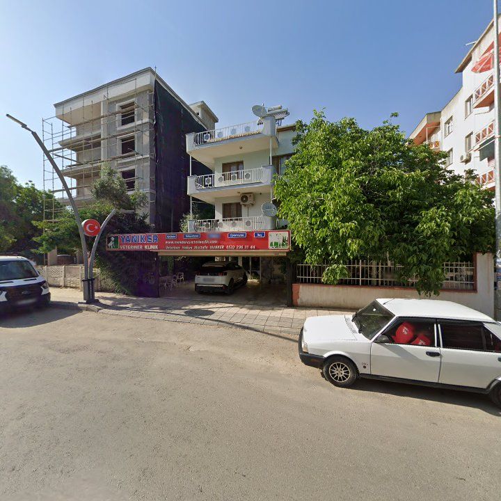 Fotoğraf 7