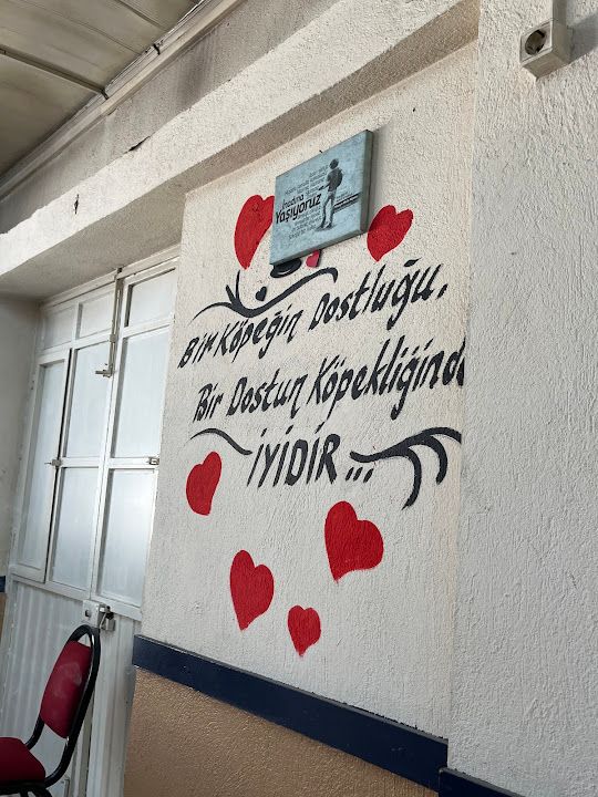 Yarcı'nın Yeri