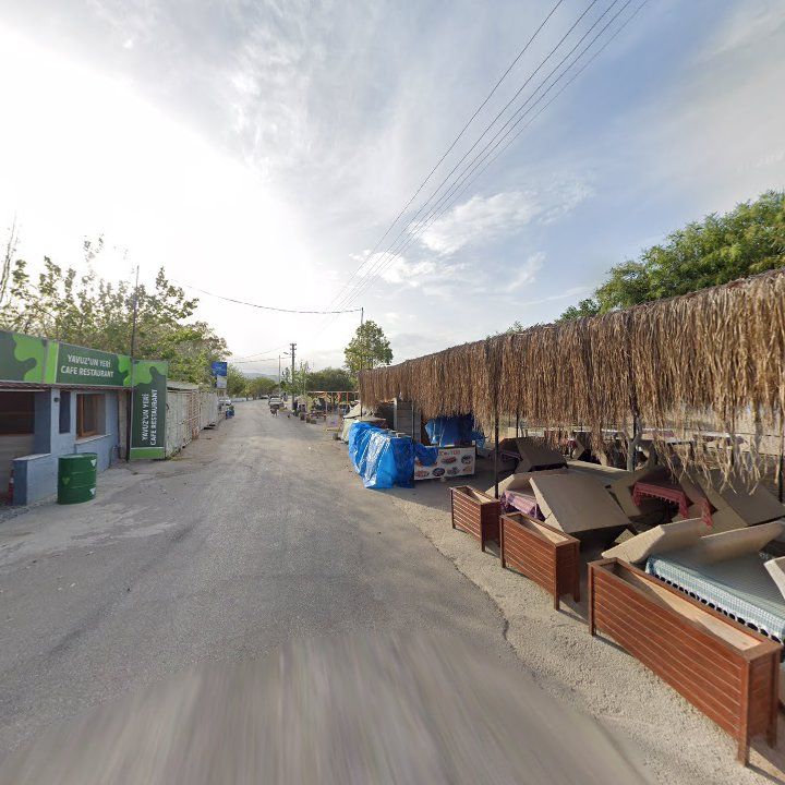 Fotoğraf 9