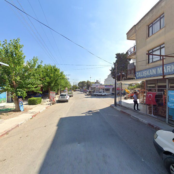 Fotoğraf 6
