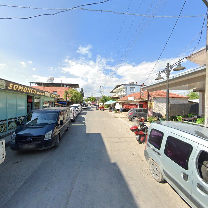 Fotoğraf 8