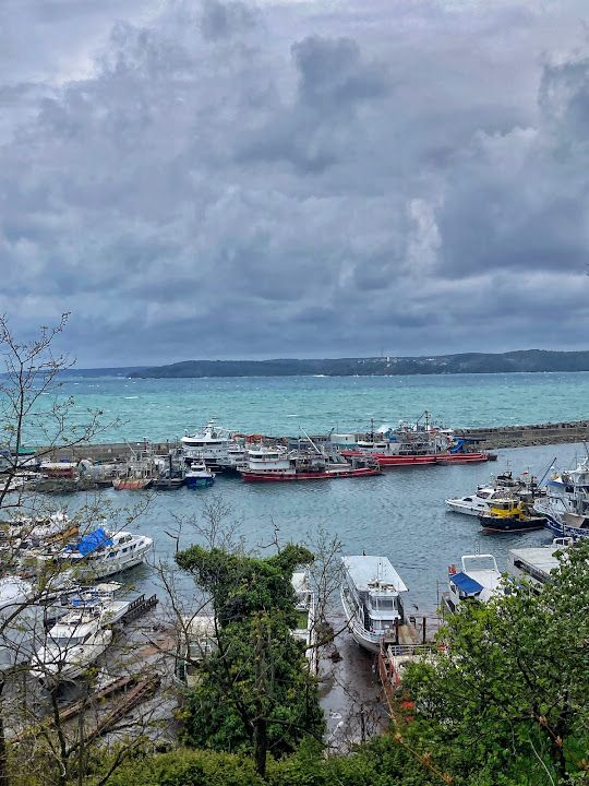 Fotoğraf 32