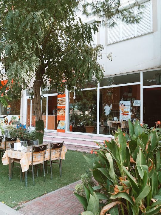 09 aydın