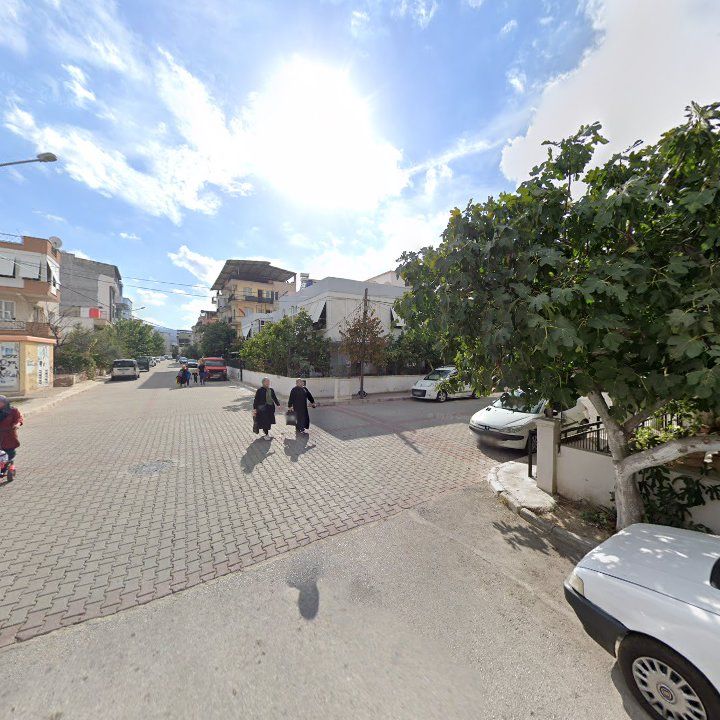 Fotoğraf 7