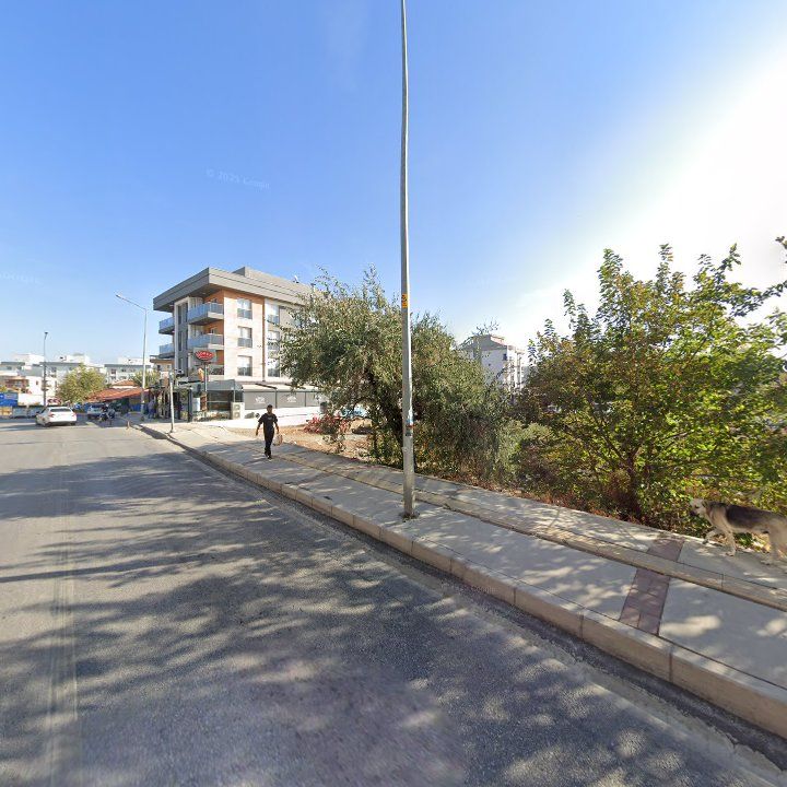 Fotoğraf 9