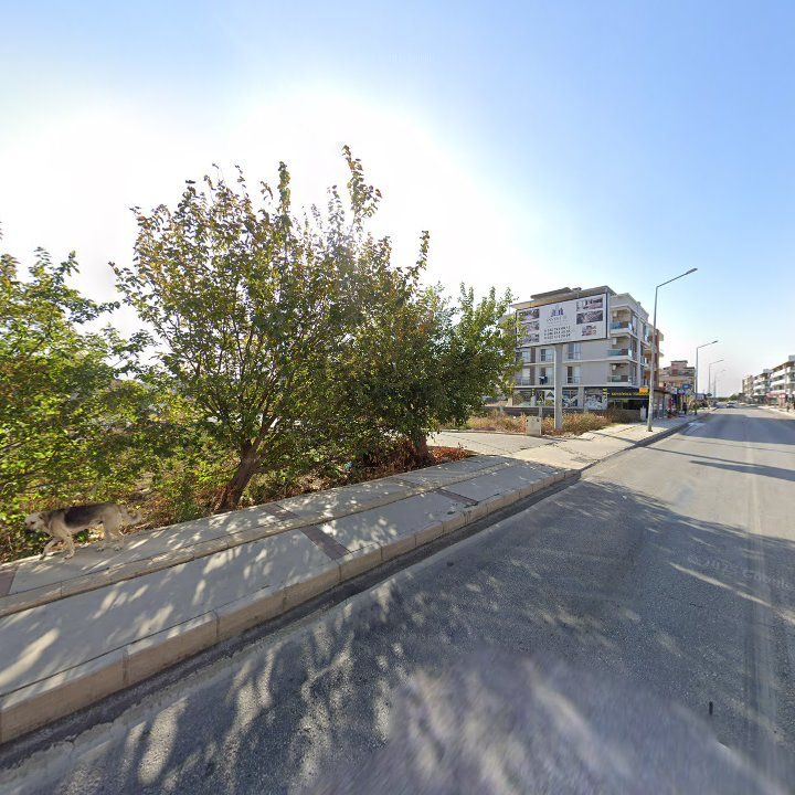 Fotoğraf 10