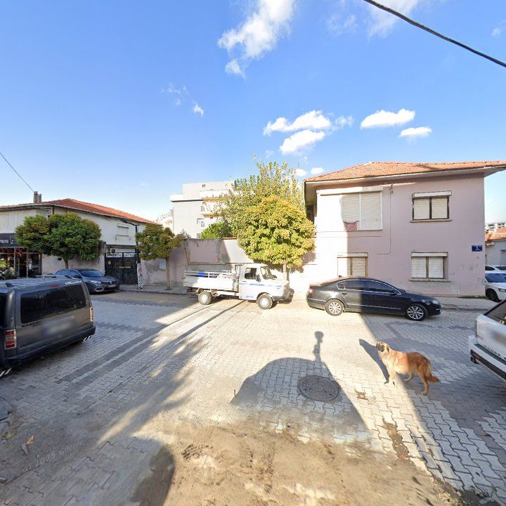 Fotoğraf 8