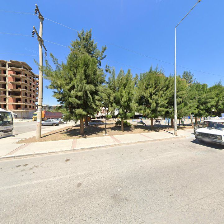 Fotoğraf 11