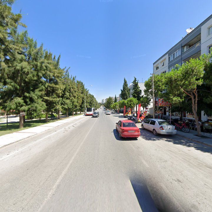 Fotoğraf 9