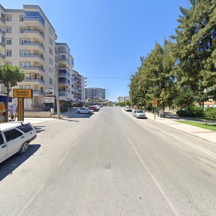 Fotoğraf 11
