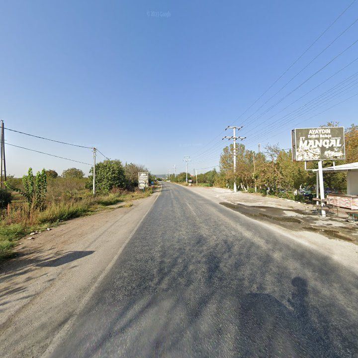Fotoğraf 9
