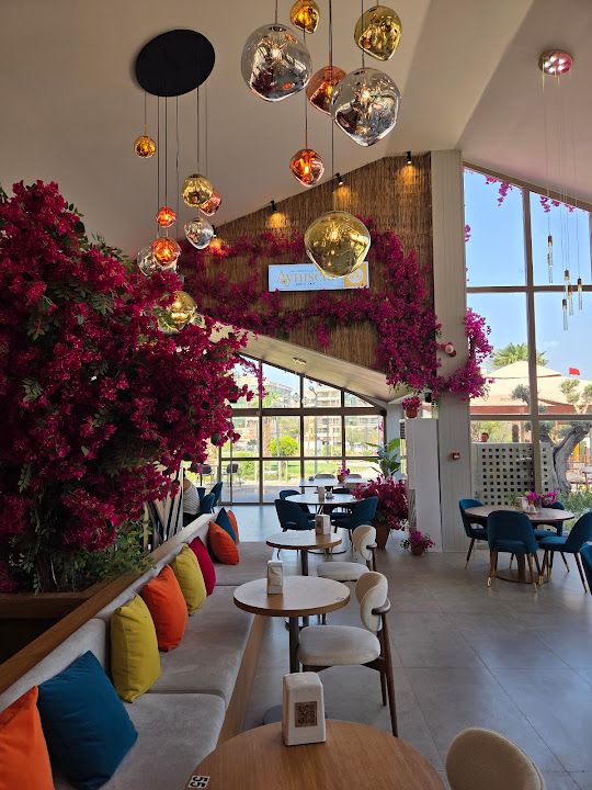 Aynısefa Cafe