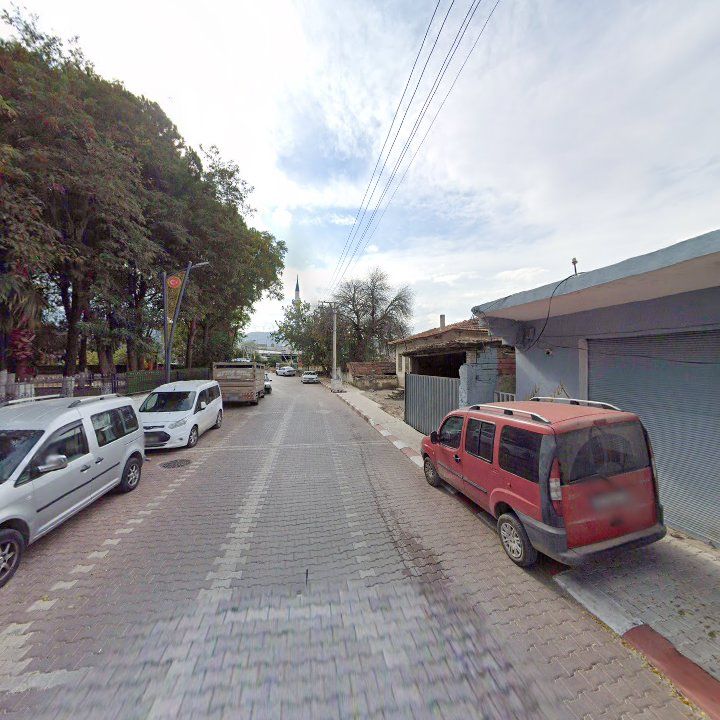 Fotoğraf 8