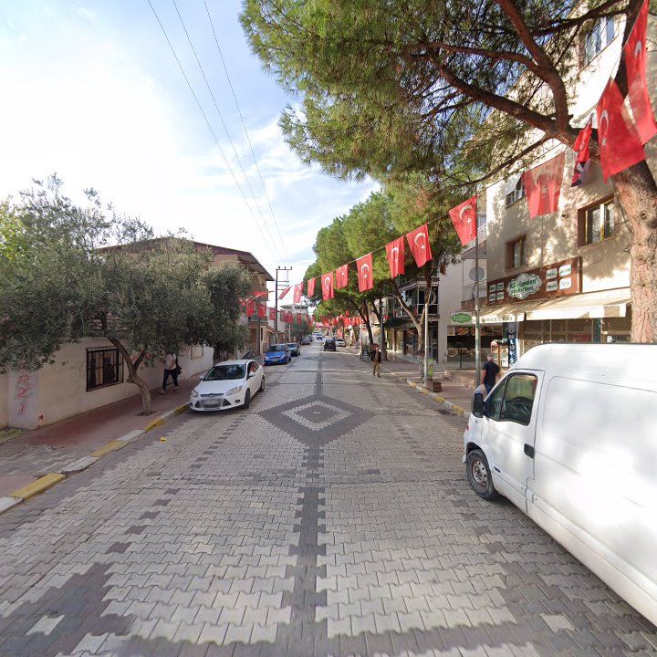 Fotoğraf 10