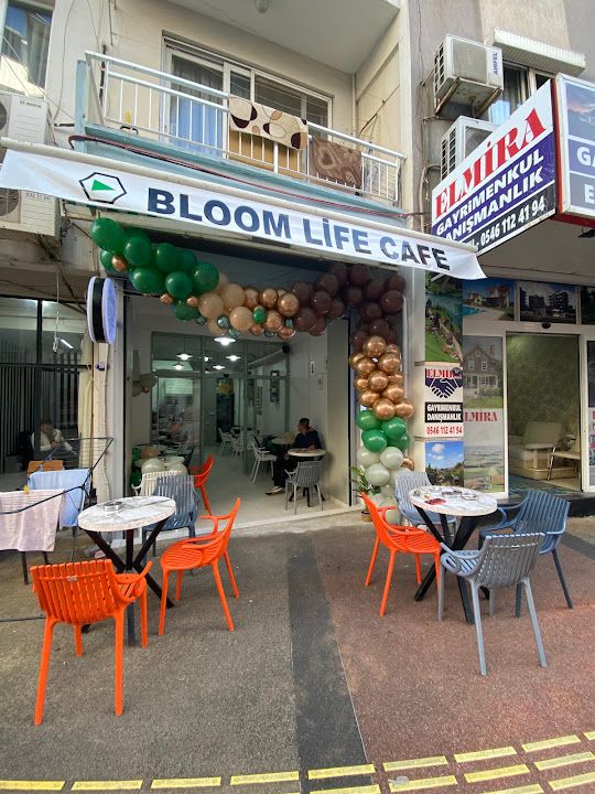 Bloom Life Cafe