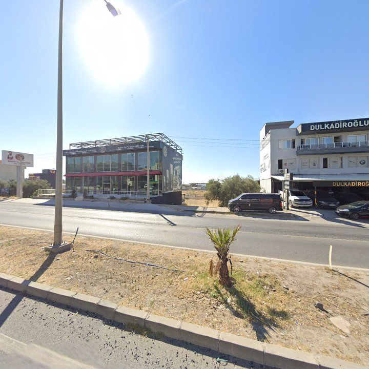 Fotoğraf 8