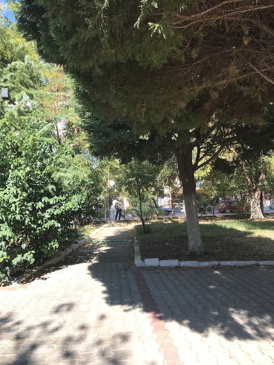 Cemilin parkı