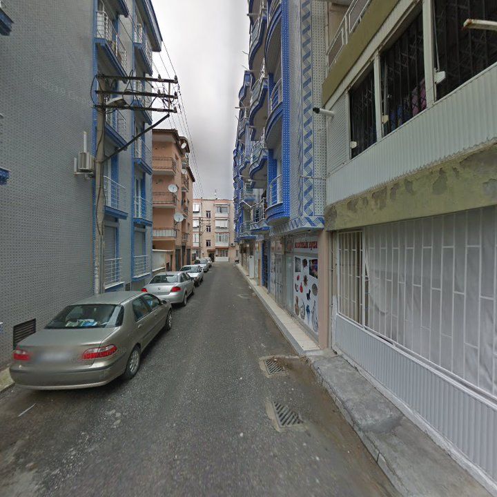 Fotoğraf 6