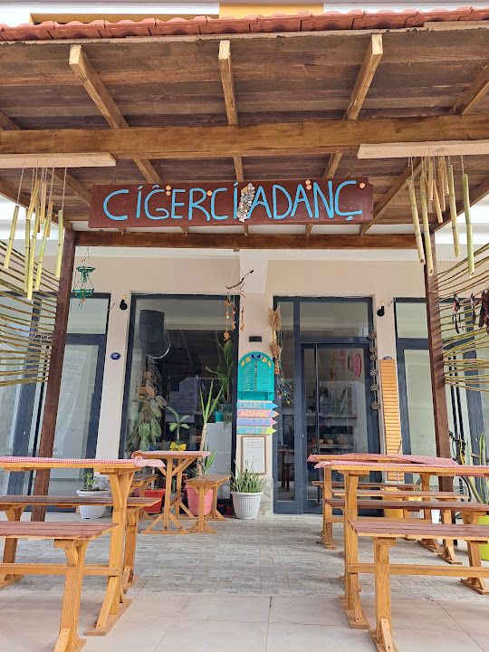 Ciğerci Adanç