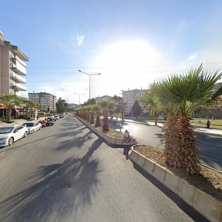 Fotoğraf 8