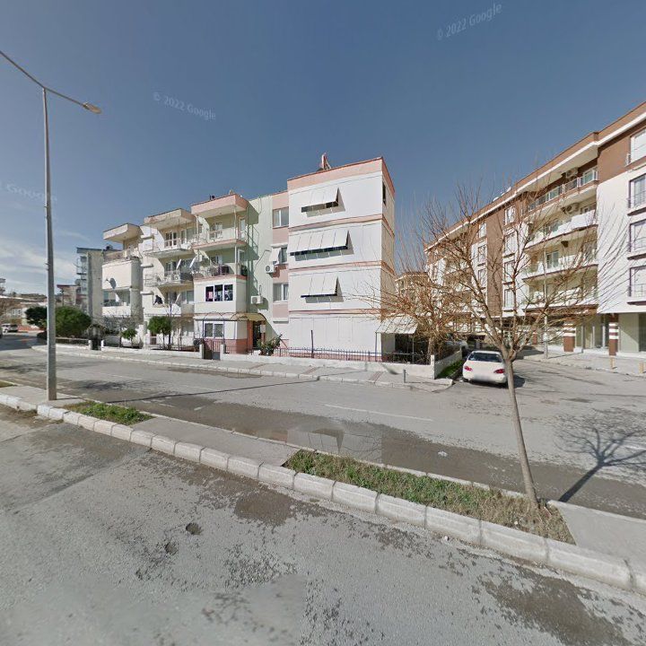 Fotoğraf 11