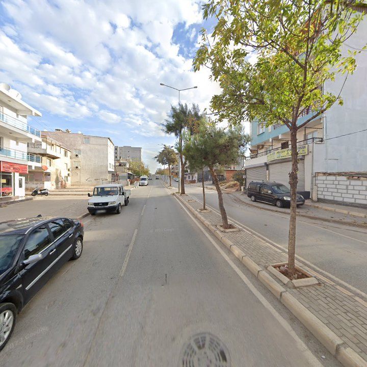 Fotoğraf 4