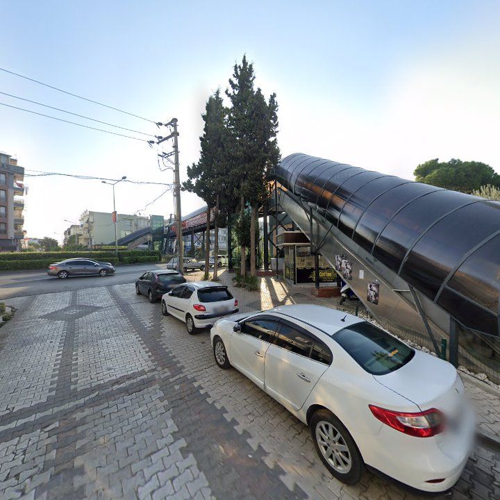Fotoğraf 14