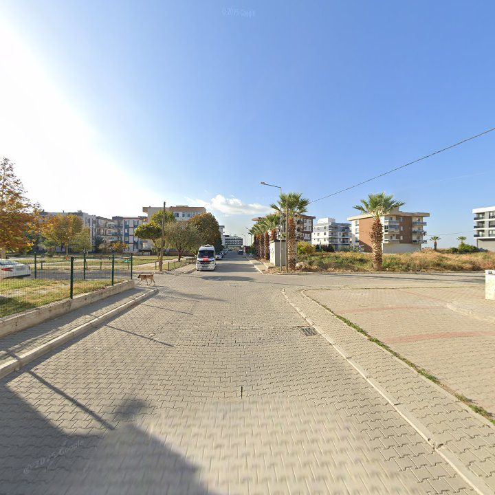 Fotoğraf 9