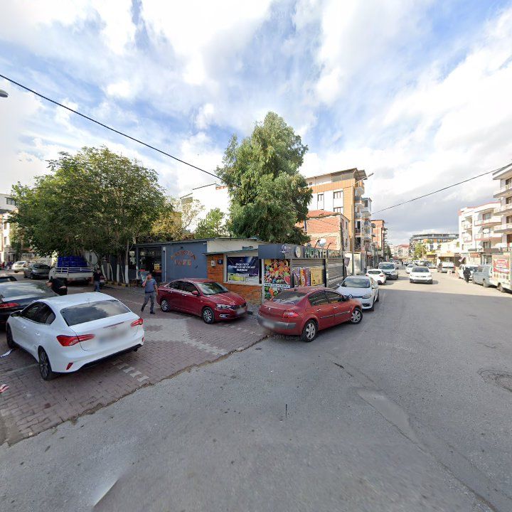 Fotoğraf 6