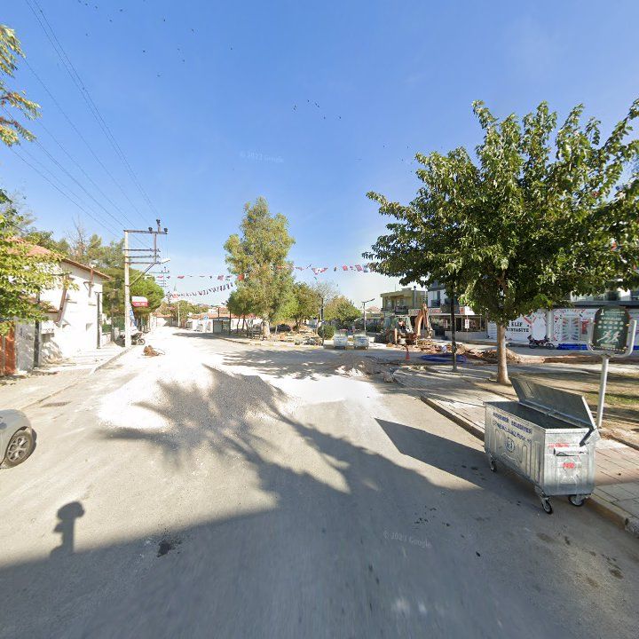 Fotoğraf 7