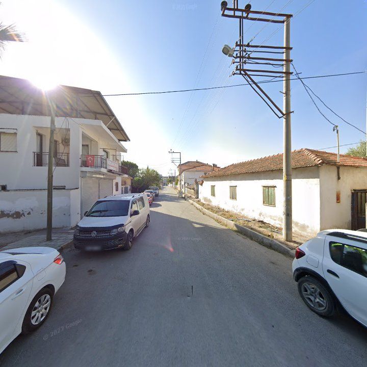 Fotoğraf 9