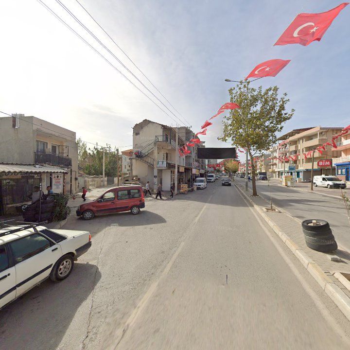 Fotoğraf 7