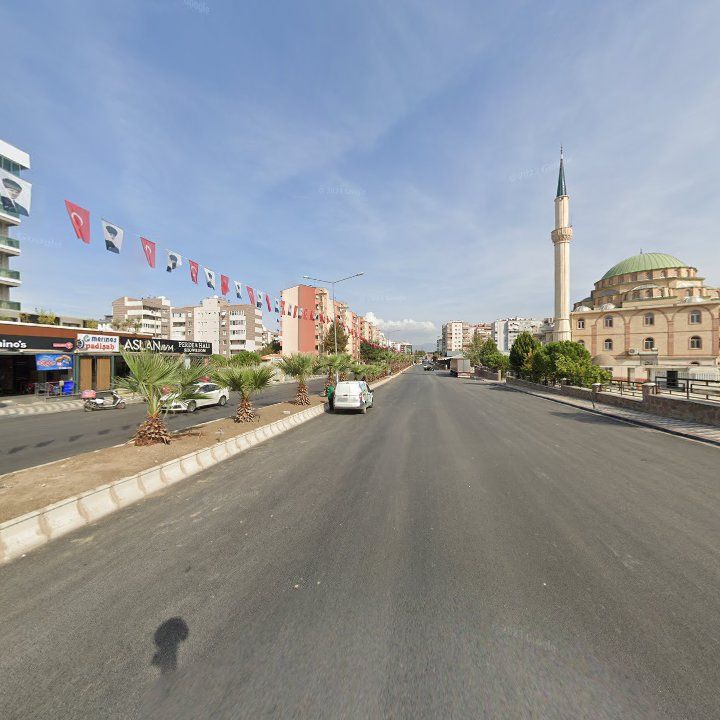 Fotoğraf 7