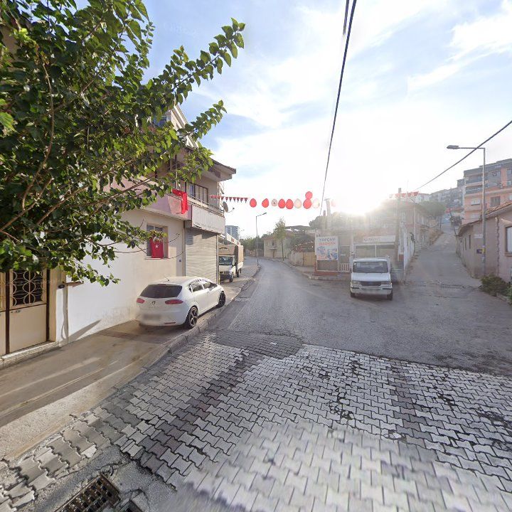 Fotoğraf 5