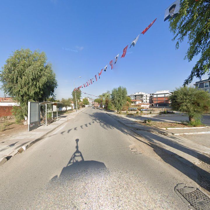 Fotoğraf 6