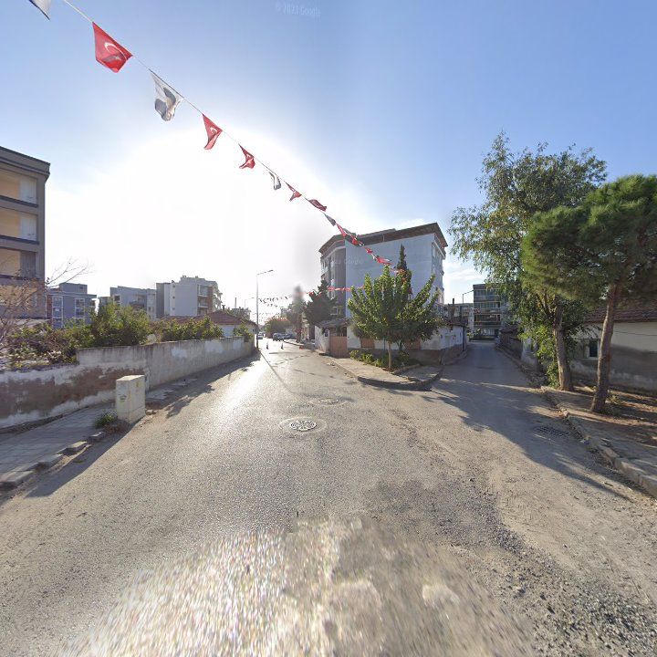 Fotoğraf 8