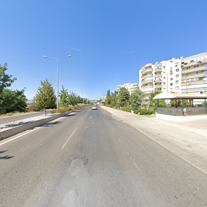 Fotoğraf 10