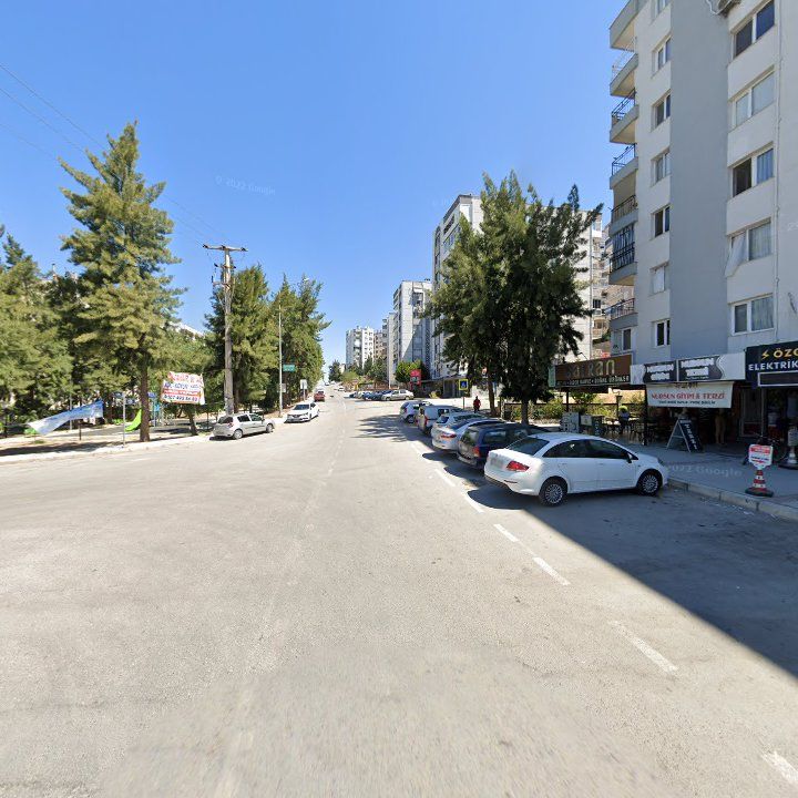 Fotoğraf 8