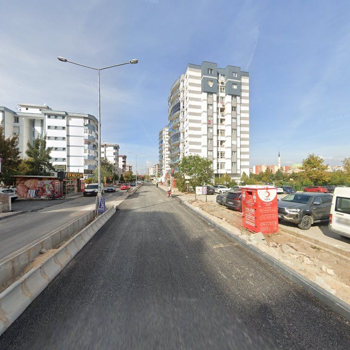 Fotoğraf 7
