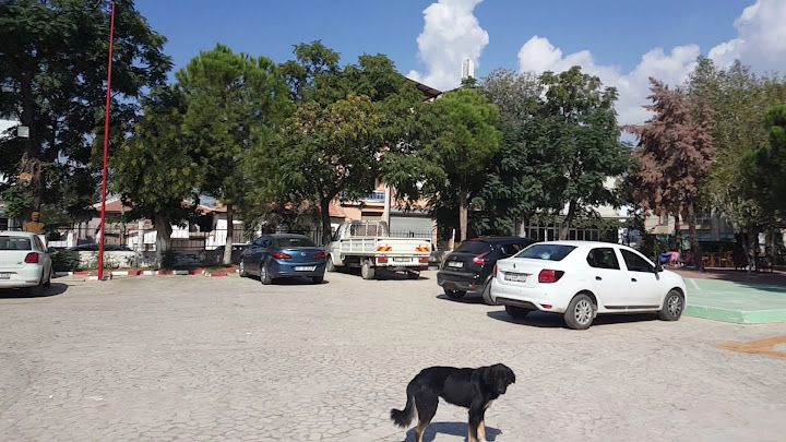 Fotoğraf 3