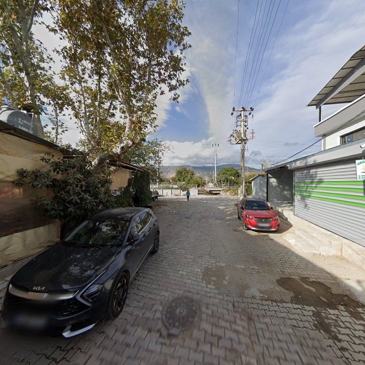 Fotoğraf 5