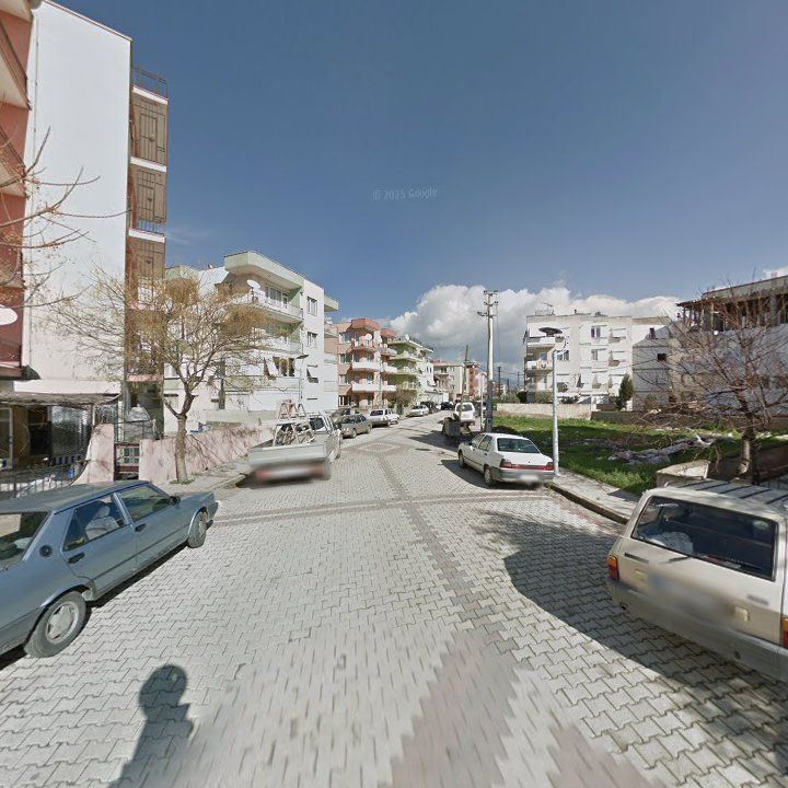 Fotoğraf 8