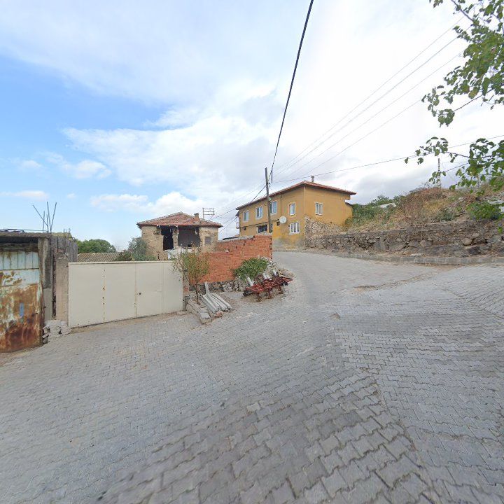 Fotoğraf 10