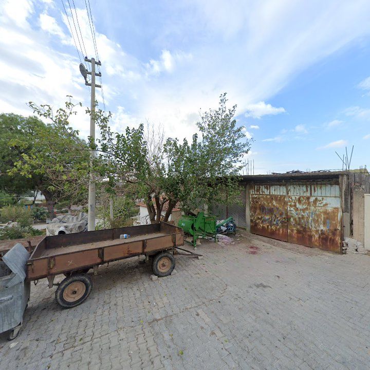 Fotoğraf 9