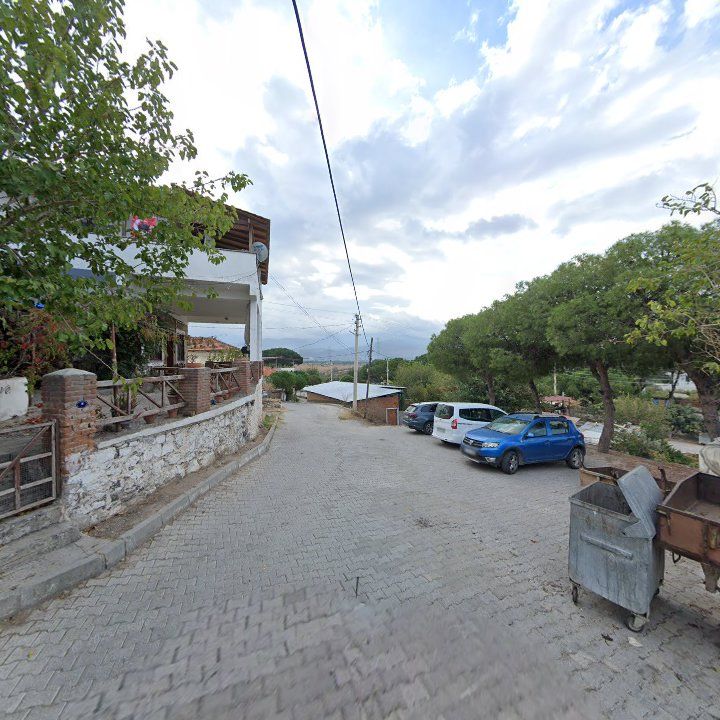 Fotoğraf 8