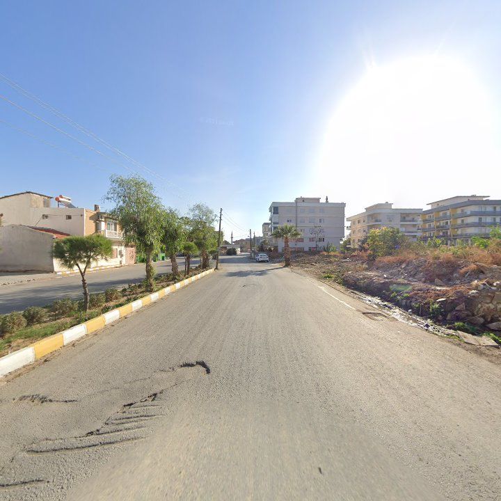 Fotoğraf 9