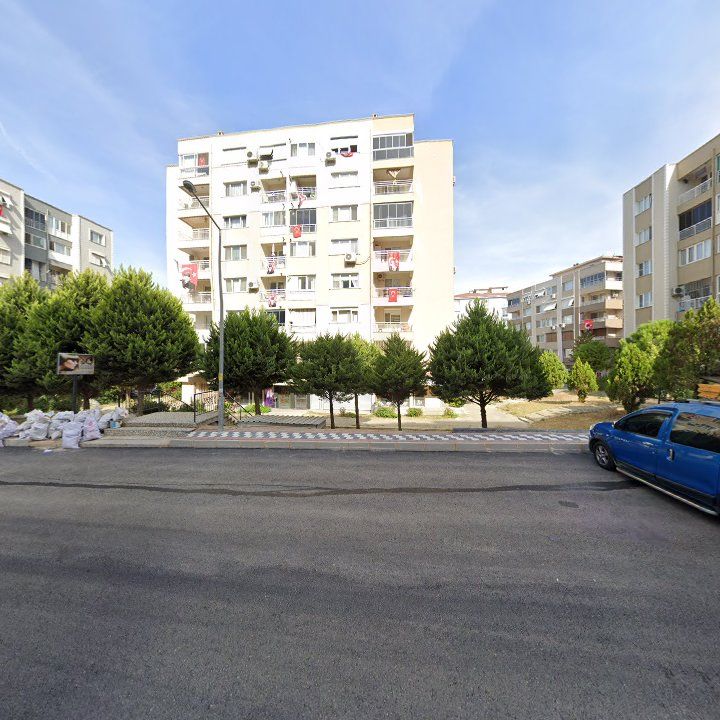 Fotoğraf 7