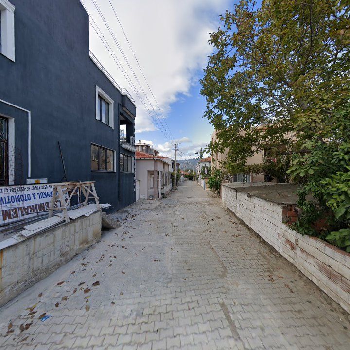 Fotoğraf 8