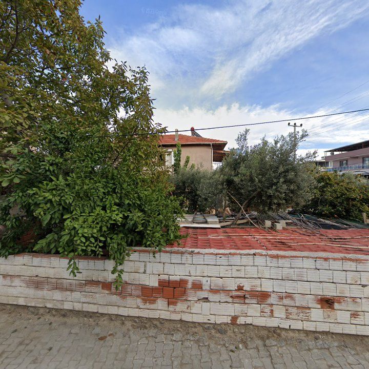 Fotoğraf 9
