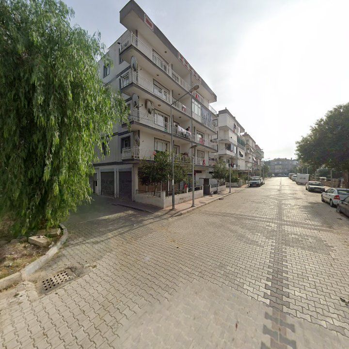 Fotoğraf 10